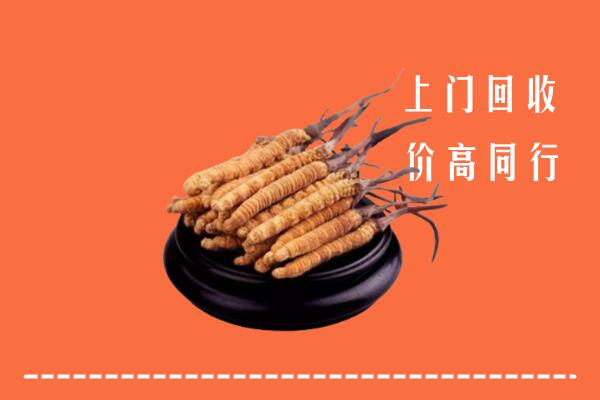高价求购：新城区回收散虫草