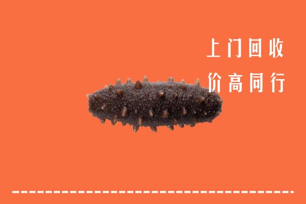 高价求购：新城区回收海参