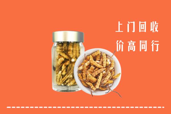 收购行情：新城区回收冬虫夏草